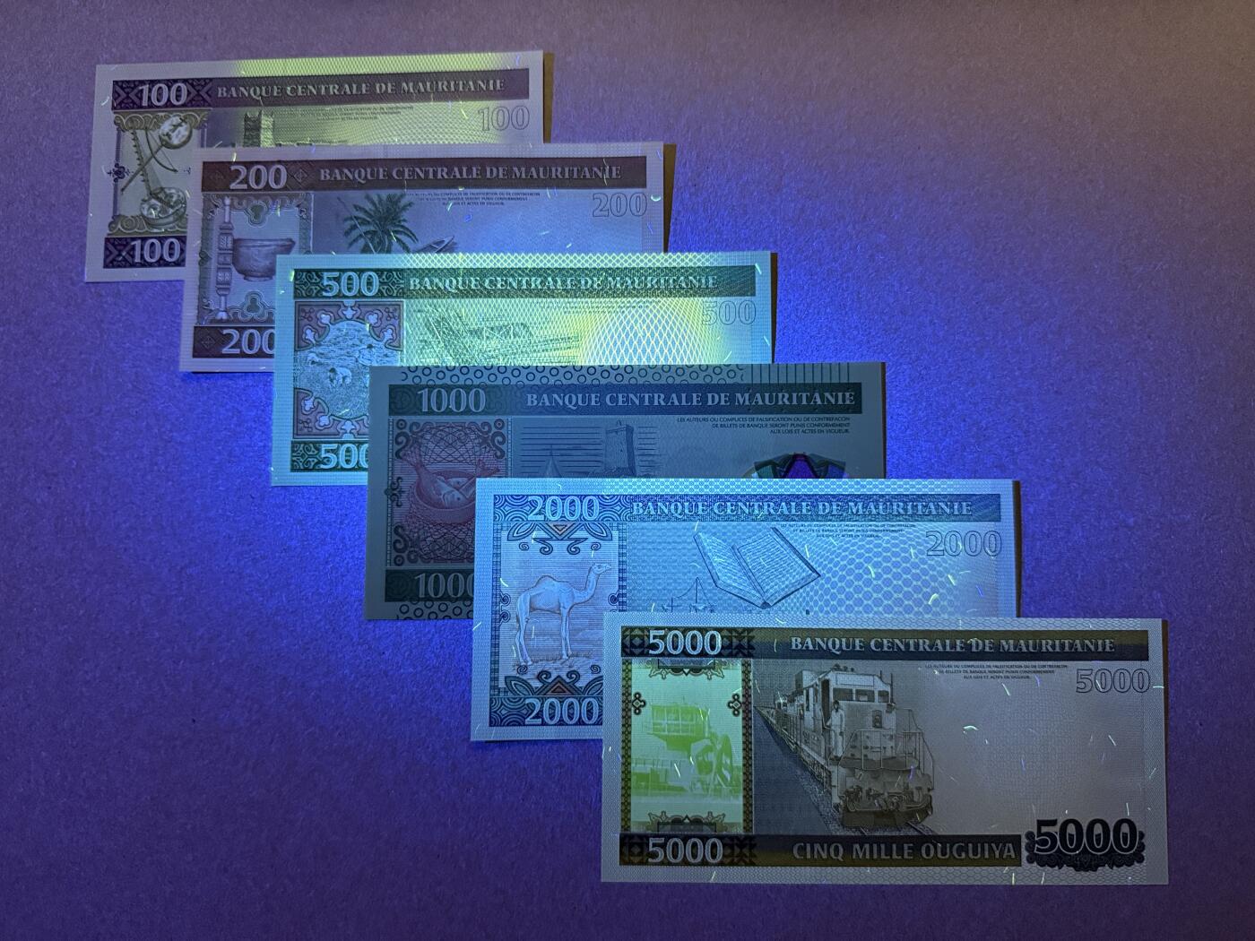 《愛美收藏》第239期-4.5周日外币黄金场 