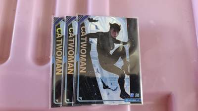 霸总卡牌第四期 - 卡游DC猫女PR×3