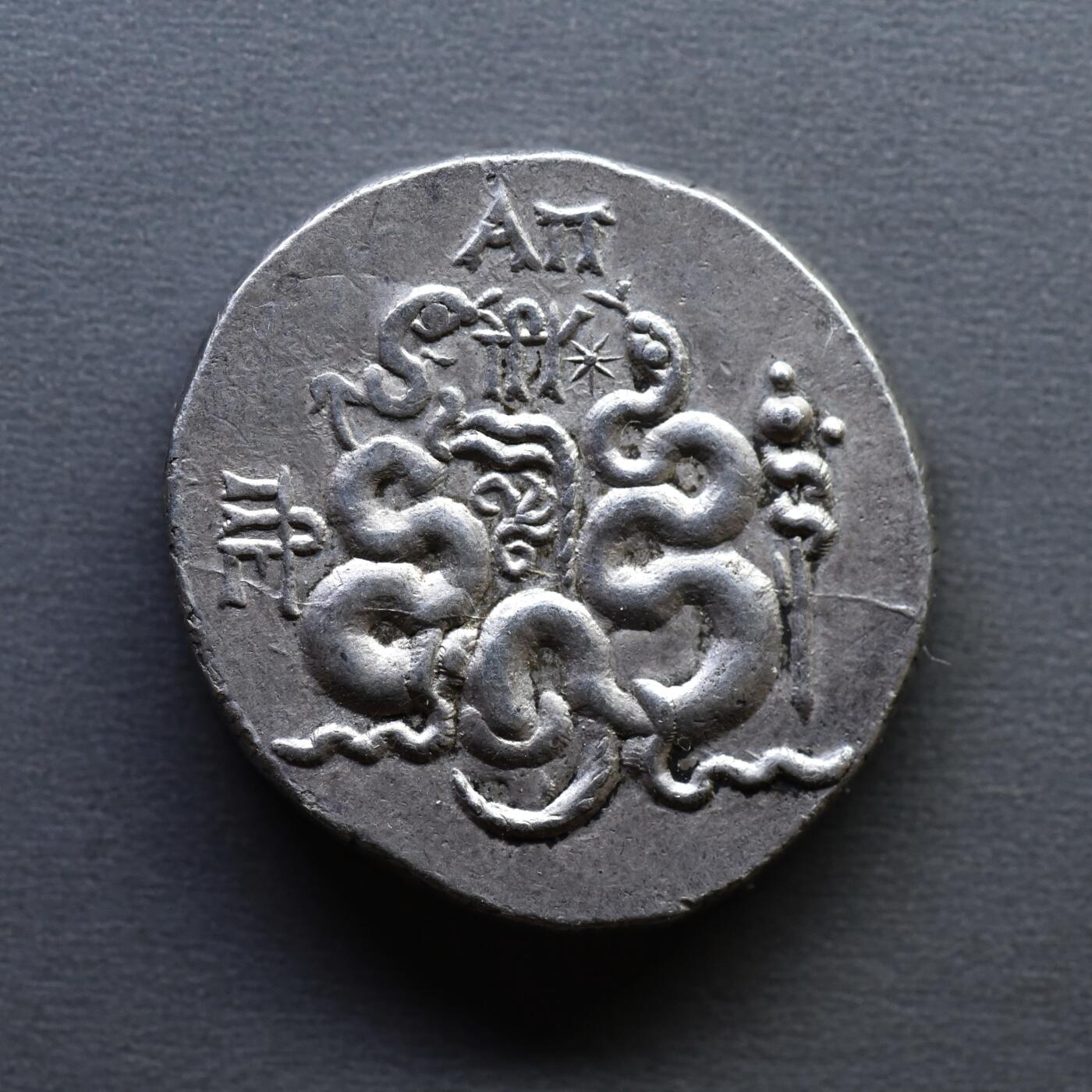 【良泉】4月16日【西方古代打制币】拍卖108件 【未流通极美品】公元前76-67年【古希腊-罗马】帕加马 蛇篮四德拉克马银币。于罗马治下打制，12.38克