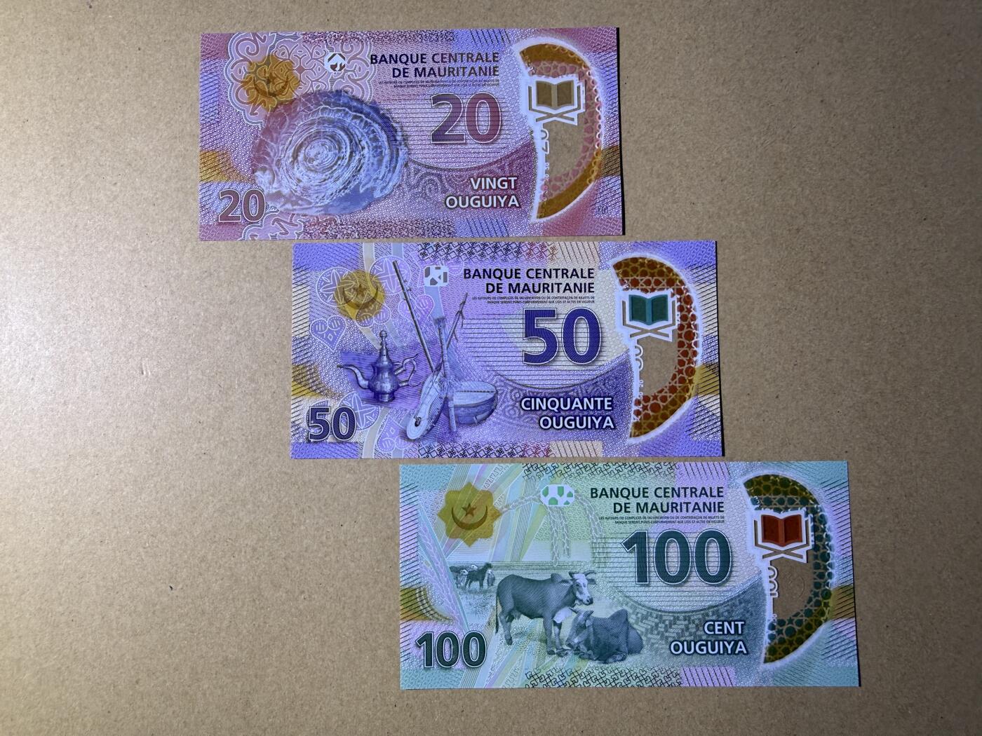 《愛美收藏》第239期-4.5周日外币黄金场 