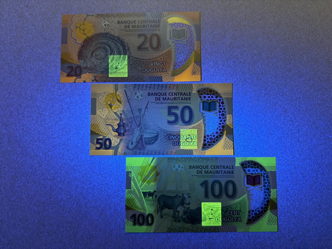 《愛美收藏》第239期-4.5周日外币黄金场 