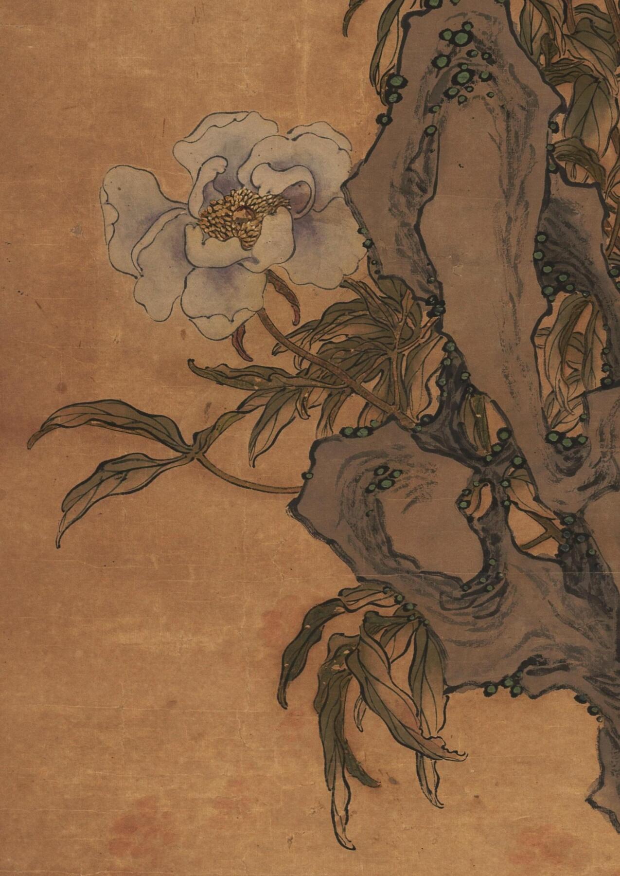 碧月说宝 近现代书画专场（六） 牡丹