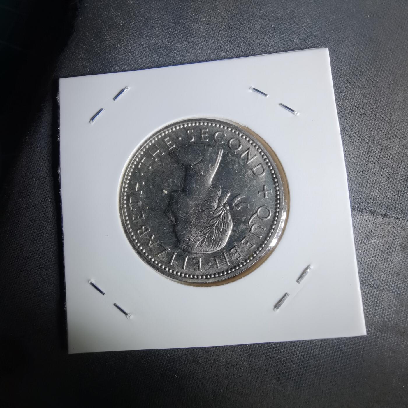 沼泽如烟--第1043场