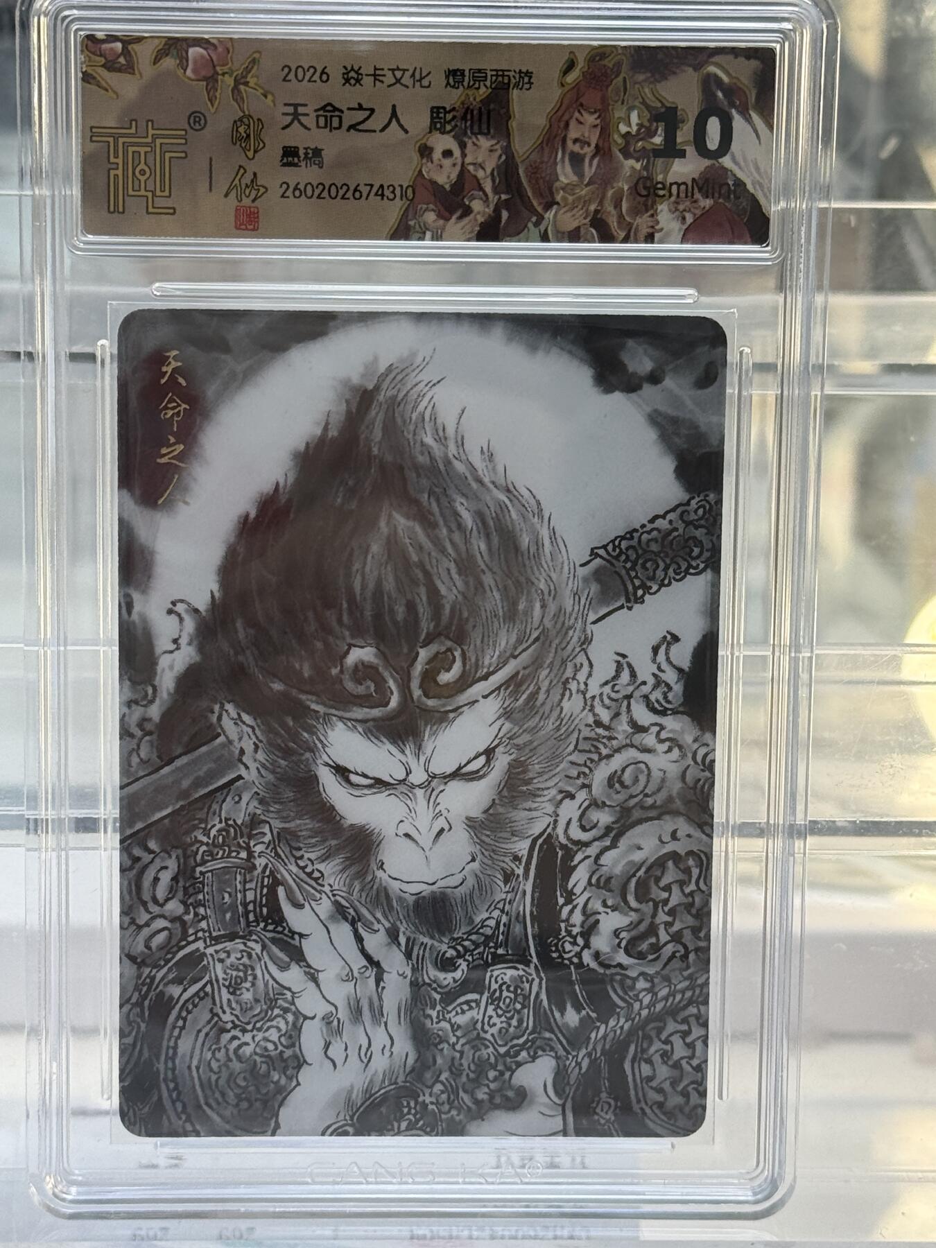 大麦马年第一场