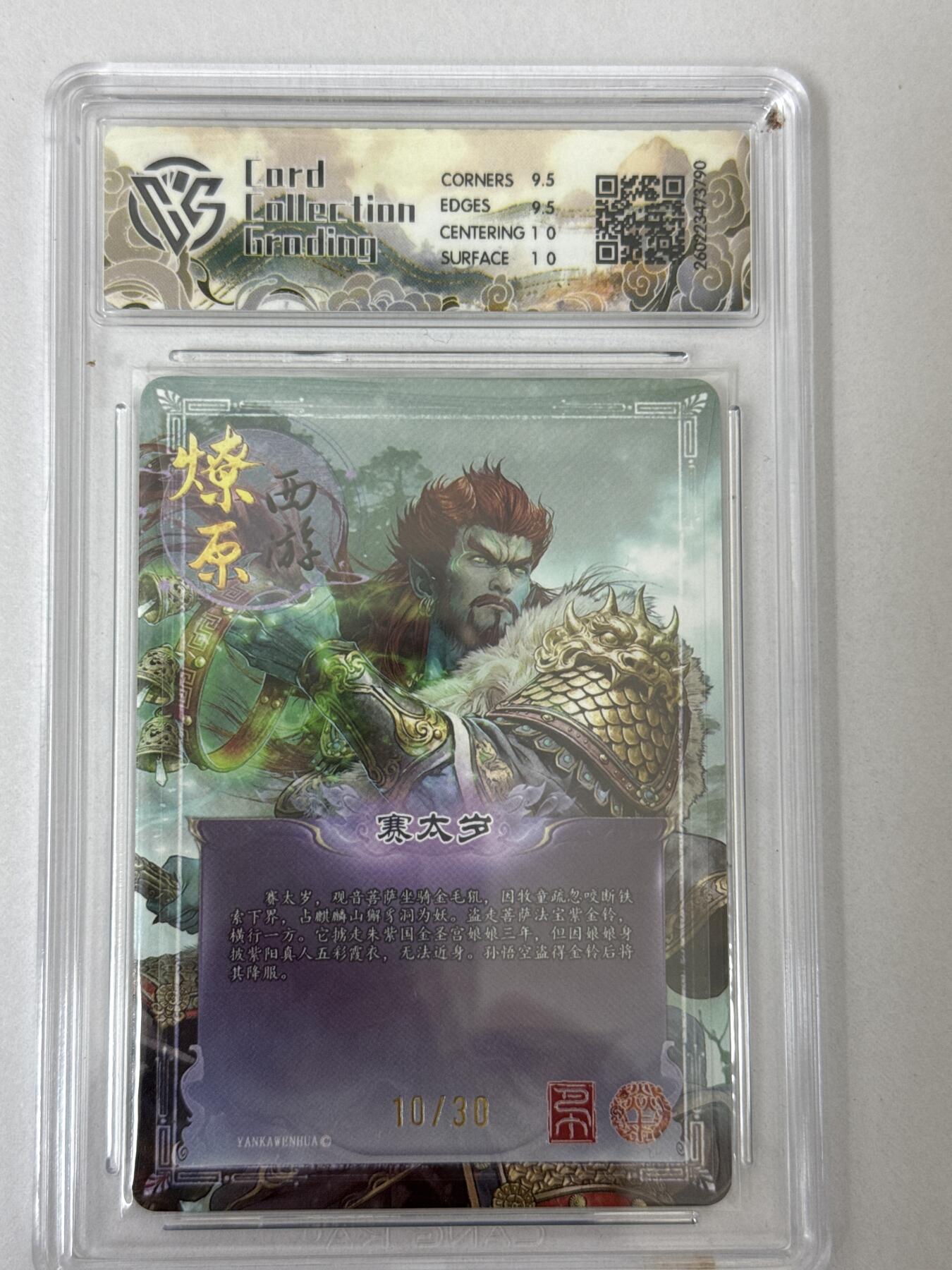 大麦马年第二场