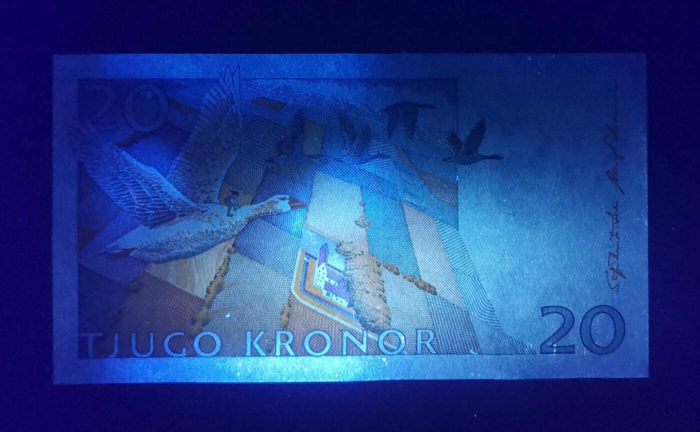 《愛美收藏》第239期-4.5周日外币黄金场 