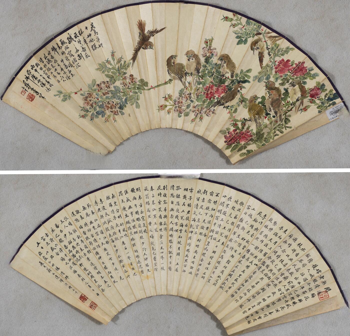 碧月说宝 近现代书画专场（八） 蒋文达 花鸟争妍