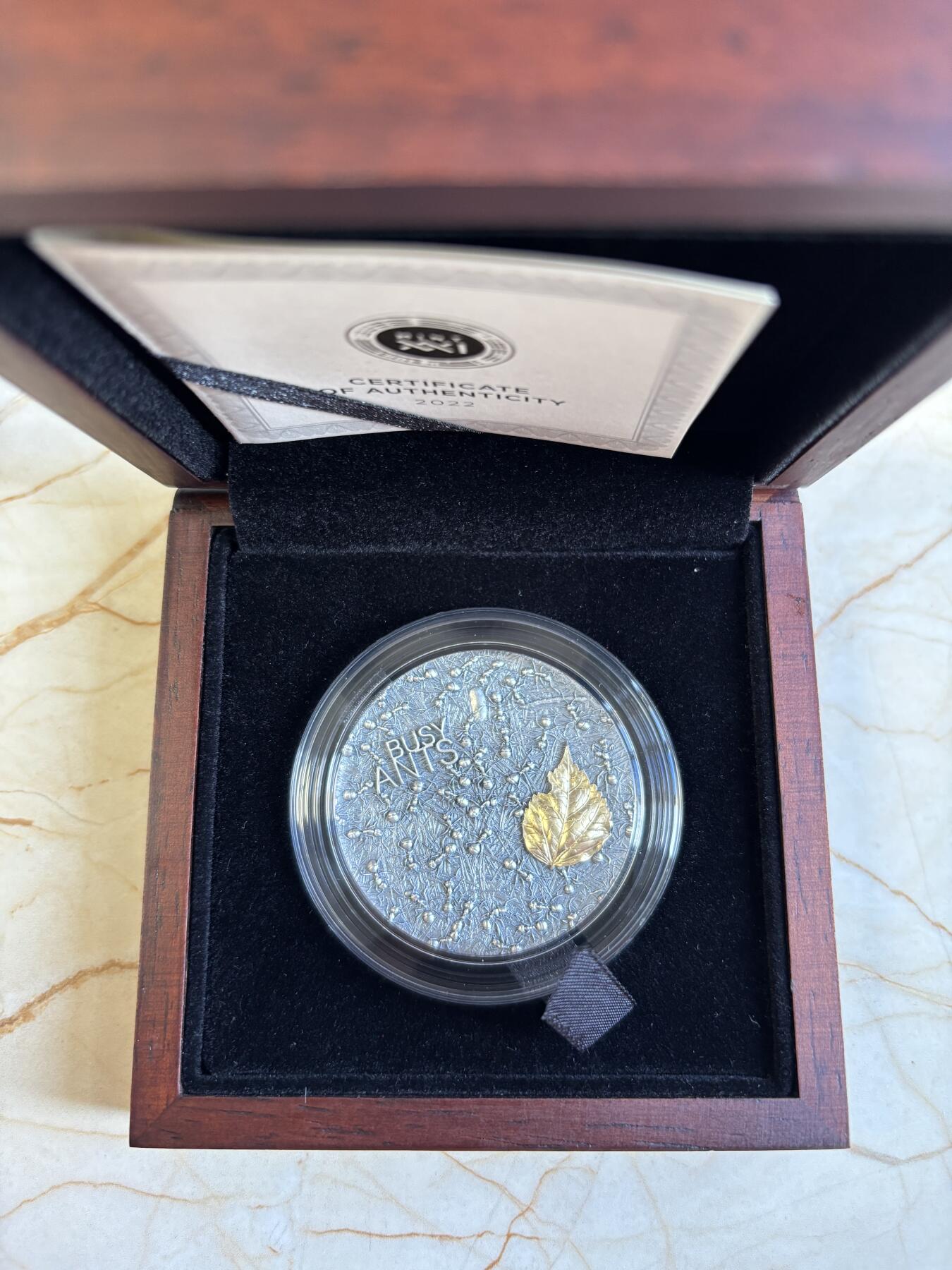 第196期拍卖 加纳2022年忙碌的小蚂蚁2盎司镀金仿古纪念银币，999银镀金，发行500枚