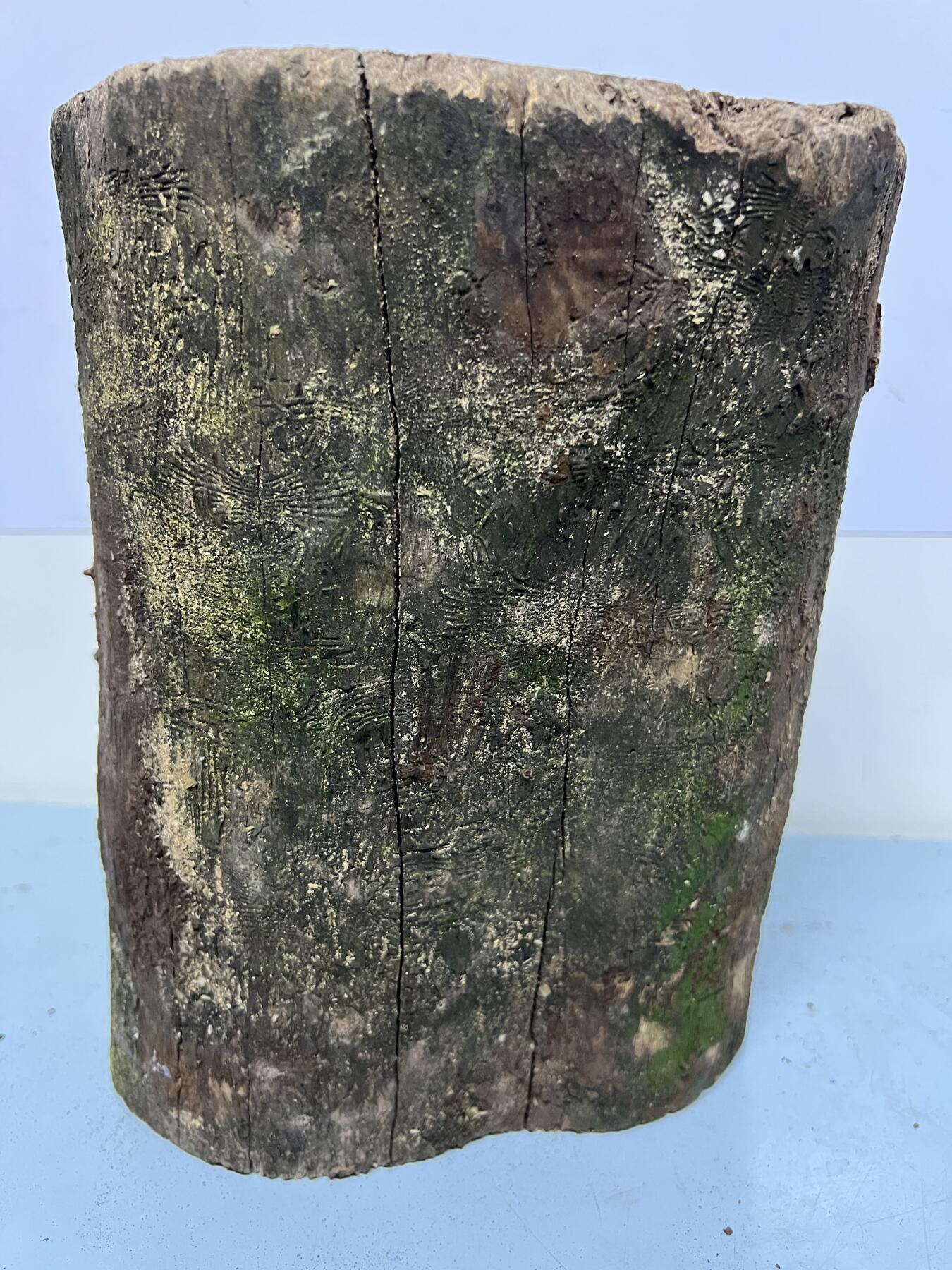 零元拍： 虫花金丝楠（无字天书） 原木 风水柱 横财（材）带皮， 这虫纹的金丝楠 大自然的鬼斧神工啊 画都画不出来，尺寸：47/10CM，抛光后金灿灿满香。