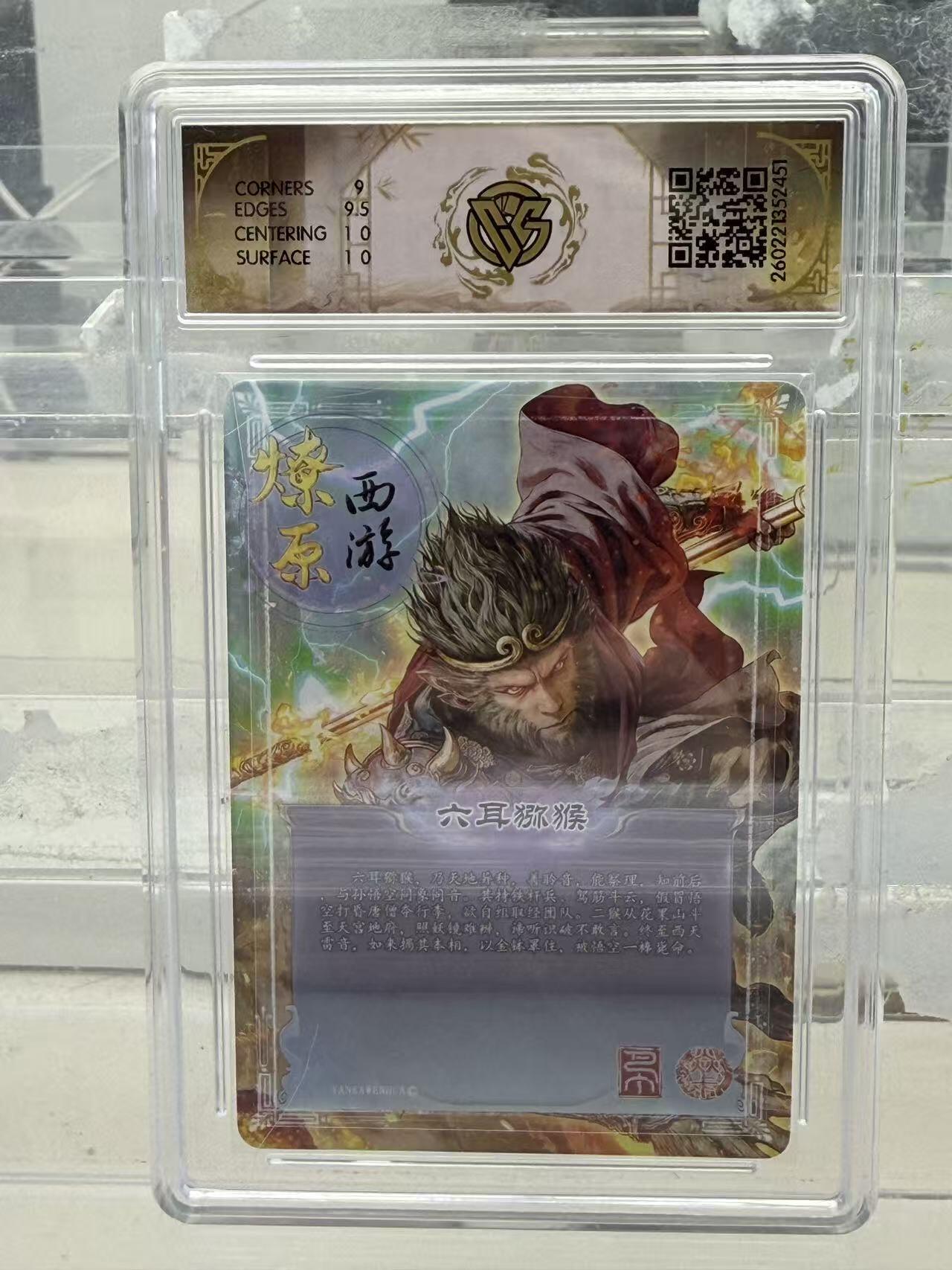 大麦马年第一场