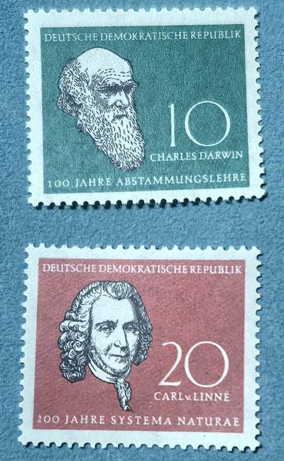 盛世勋华——号角文化勋章邮票专场拍卖第312期 - 东德邮政1958年发行 2全新票 达尔文和林耐
