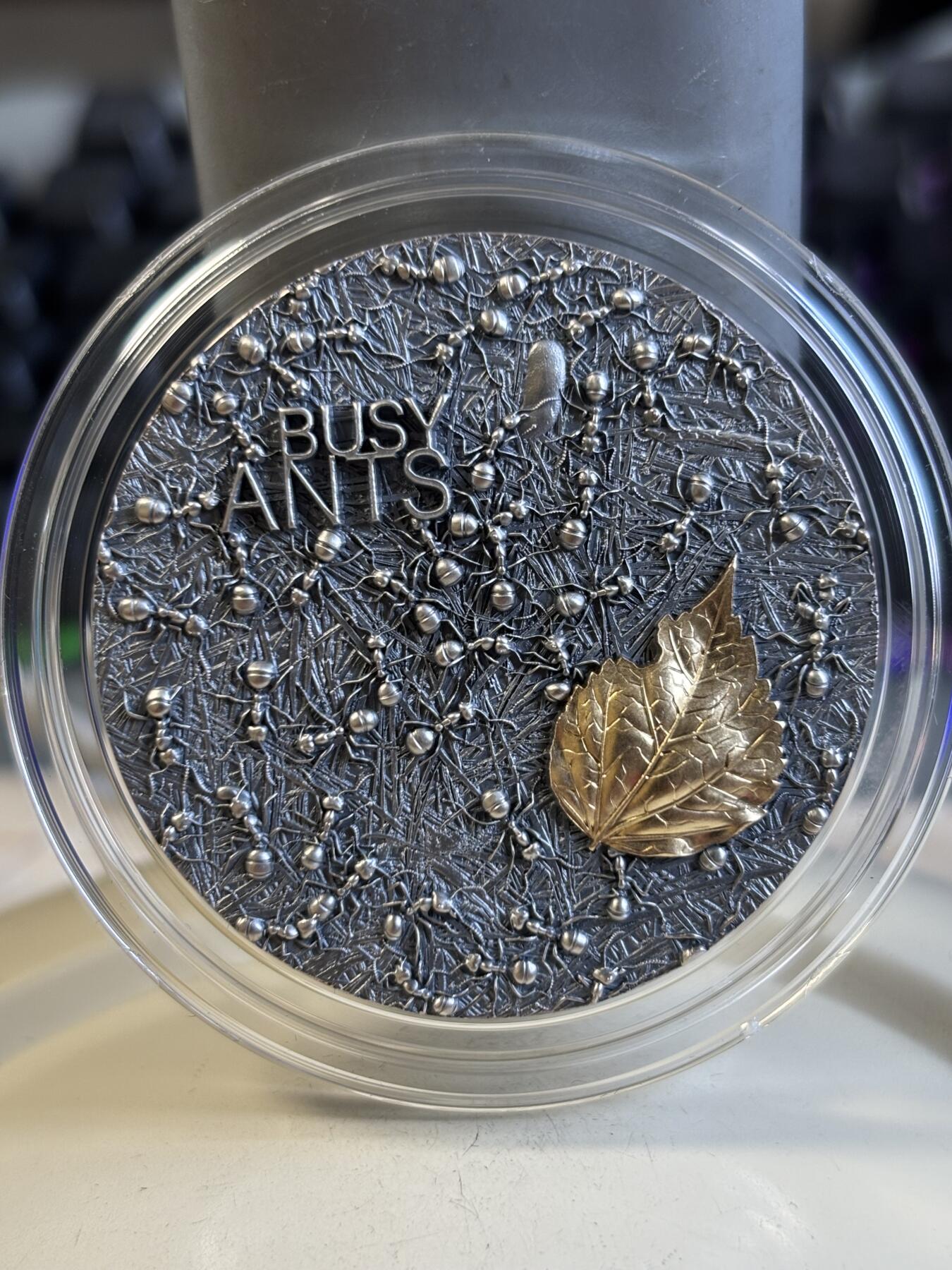 第196期拍卖 加纳2022年忙碌的小蚂蚁2盎司镀金仿古纪念银币，999银镀金，发行500枚