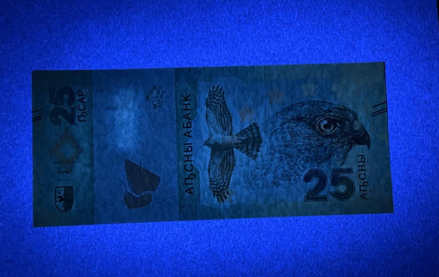 【礼羽收藏】🌏世界钱币拍卖第131期 阿布哈兹 2023年(原票绝品)AA冠25 阿沙 稀少面值币种，卫国战争胜利30年纪念钞。开门百位号尾顺子和冠头呼应更显漂亮(注:此钞都是2310开头)