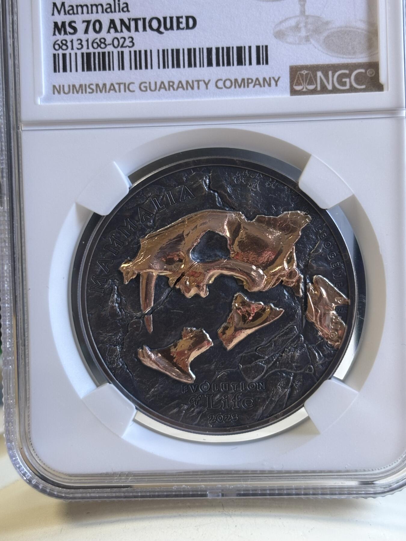 第196期拍卖 蒙古2023年进化系列9猎猫科1盎司仿古镀金纪念银币NGC-MS70,9999银，发行999枚