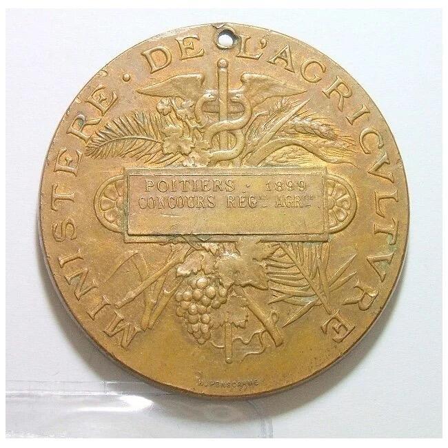 法国1899年 小飞侠女神头像高浮雕大铜章 单面镀金 50MM