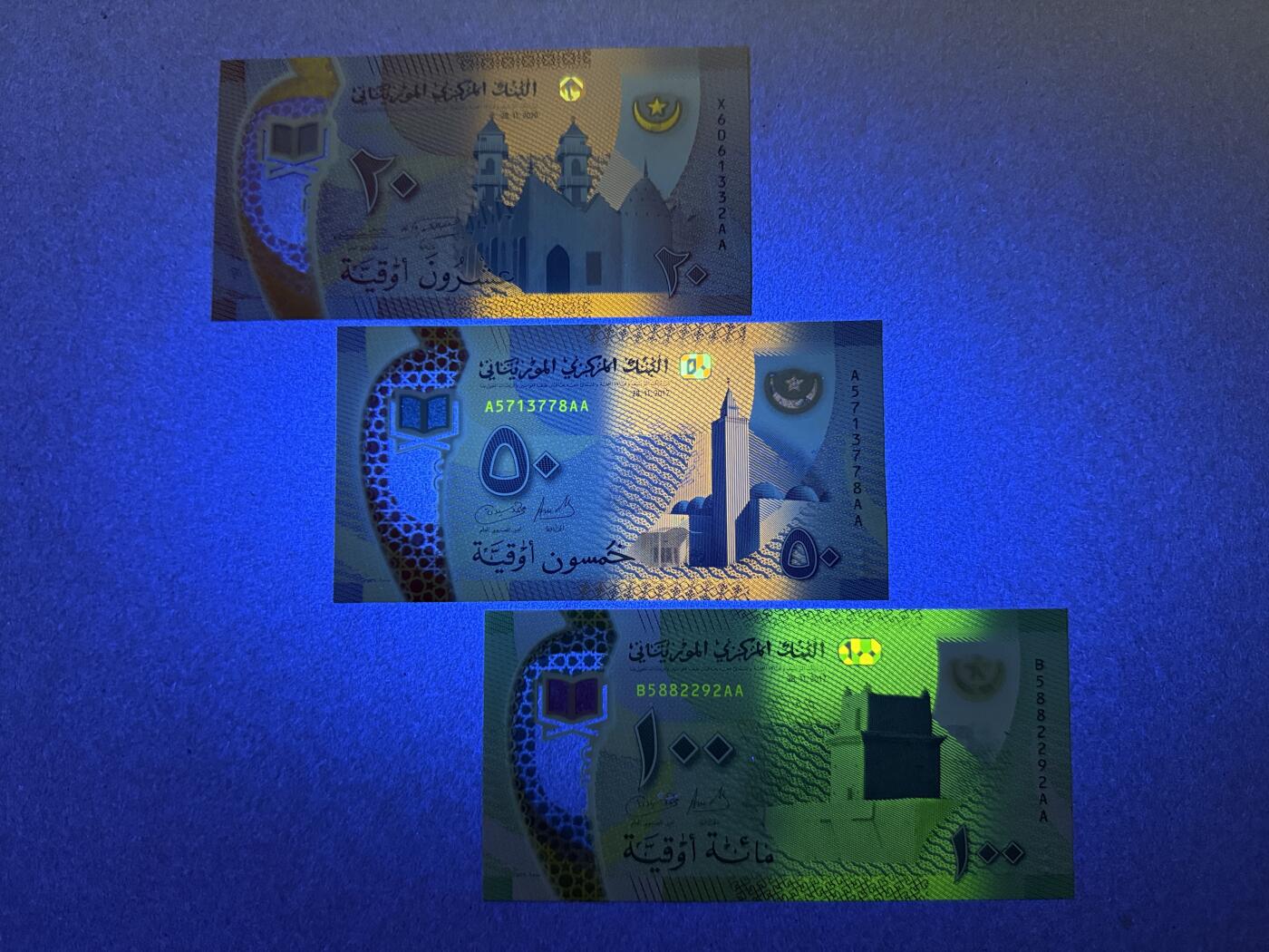 《愛美收藏》第239期-4.5周日外币黄金场 