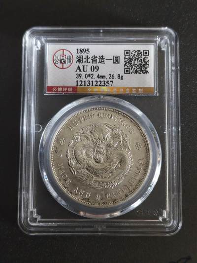 机制币银元拍场 臻品多多 - 北京公博湖北龙一枚，底光很足，龙鳞也很好，字面12点方向有个戳记，所以给了AU09