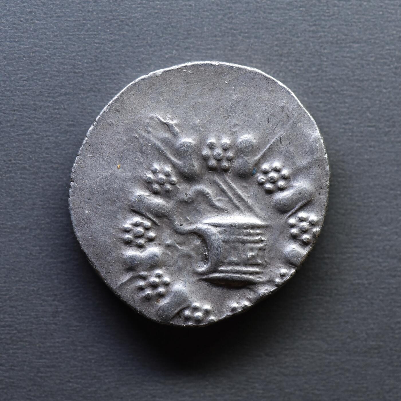 【良泉】4月16日【西方古代打制币】拍卖108件 【未流通极美品】公元前76-67年【古希腊-罗马】帕加马 蛇篮四德拉克马银币。于罗马治下打制，12.38克