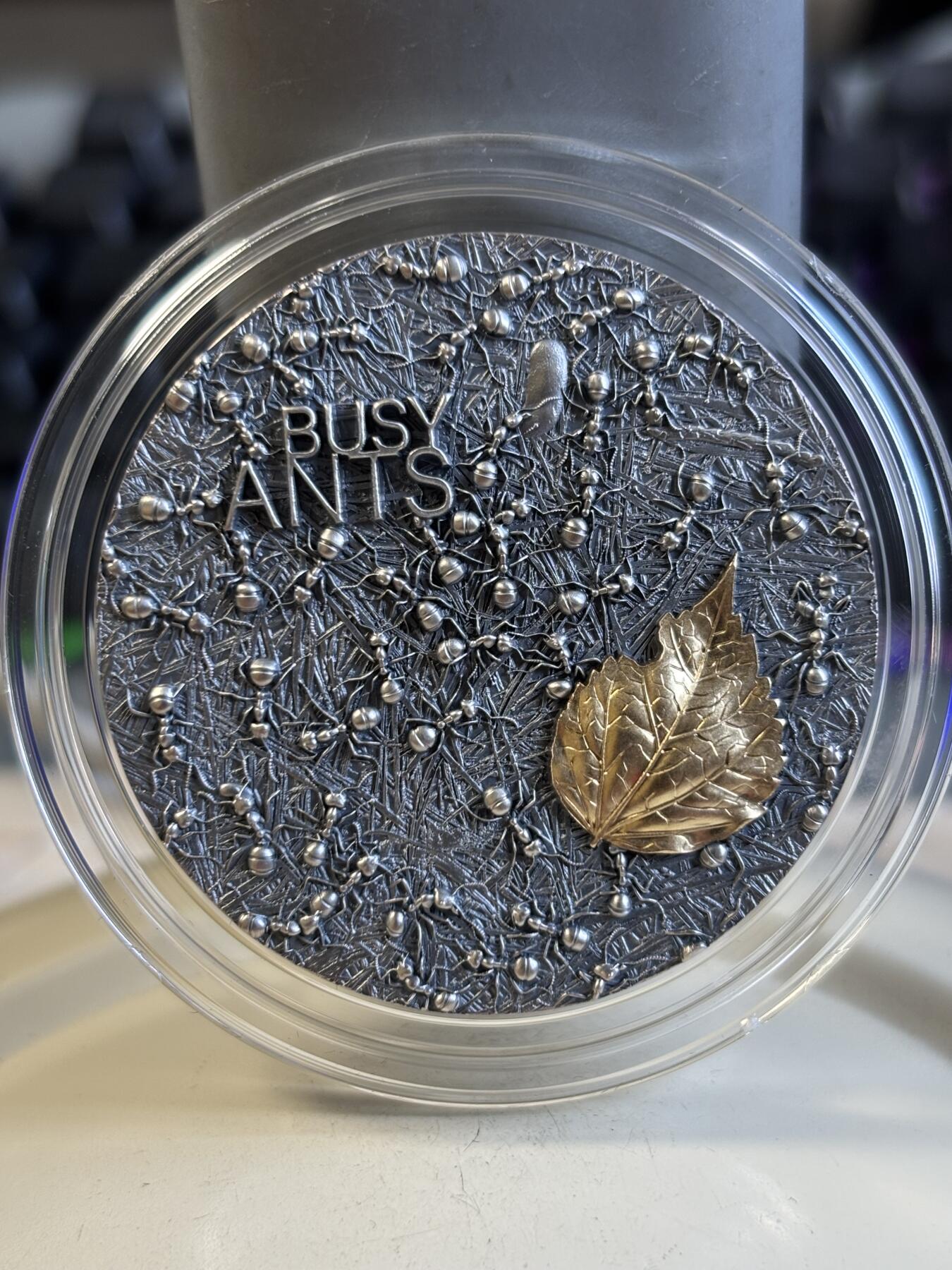 第196期拍卖 加纳2022年忙碌的小蚂蚁2盎司镀金仿古纪念银币，999银镀金，发行500枚