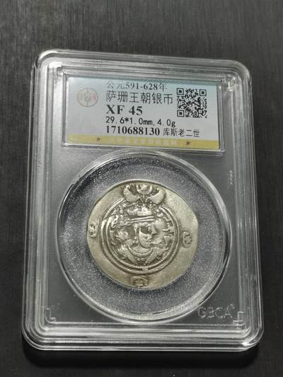 天下钱庄专场欢迎参拍 - 萨珊王朝银币