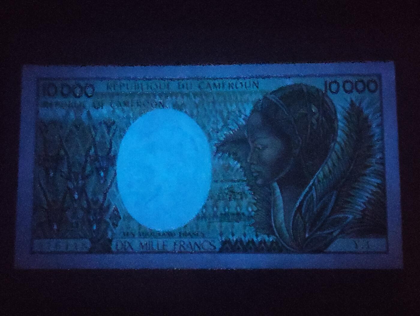 2026四月第一期，总222期 喀麦隆1984版10000法郎UNC- 水果装卸