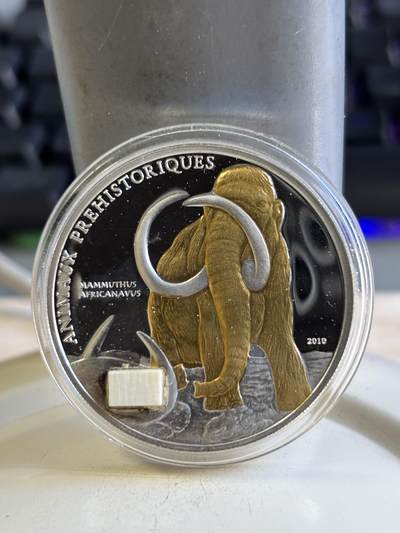 第196期拍卖 - 获奖币科特迪瓦2010猛犸象镶嵌镀金纪念银币，925银镀金，25克，世界最美25种钱币之一，有氧化