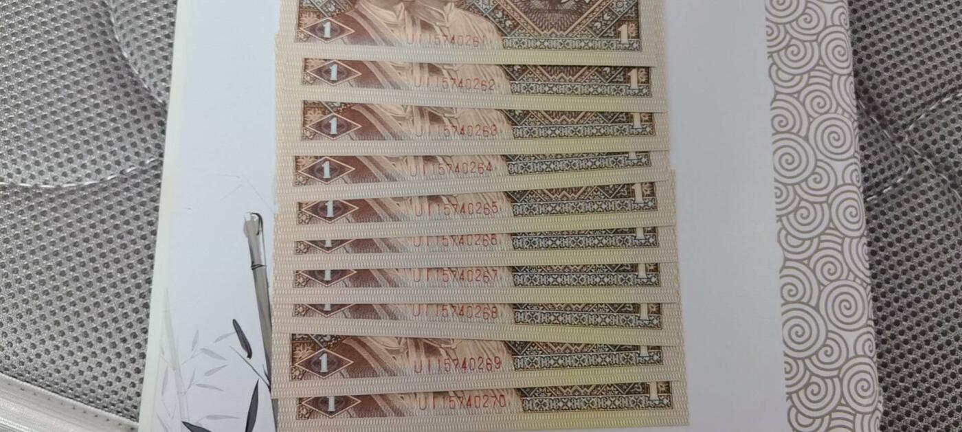 四版荧光币42 顶级姐妹花标十