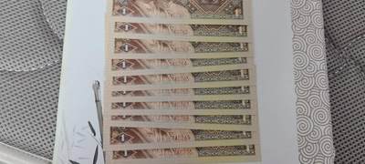 四版荧光币42 - 顶级姐妹花标十