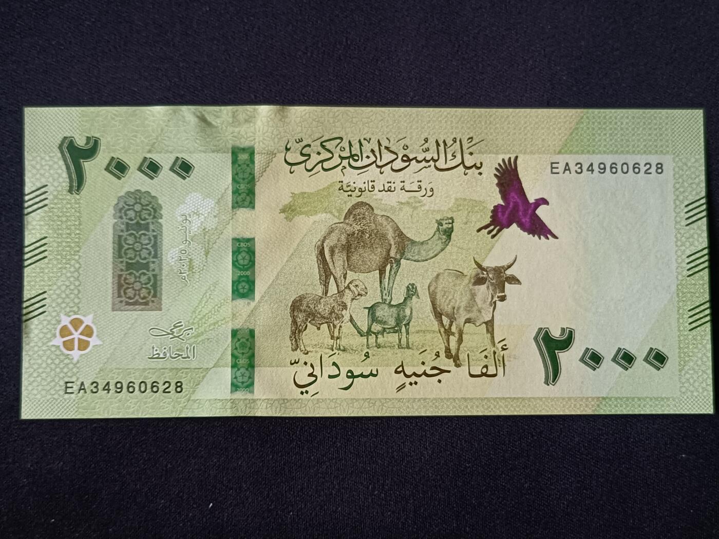 【游宝拍卖】丙午马年第19期 苏丹-2000镑【2025年 全新UNC】