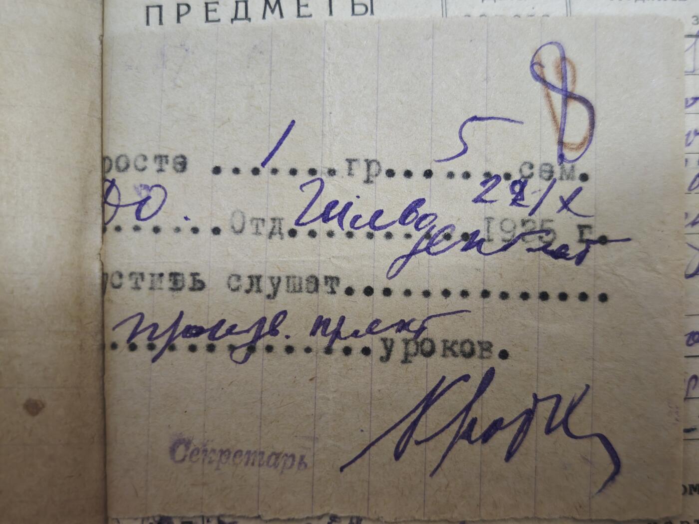 橙子收藏第七期