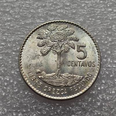  【淘币小摊】限时拍第八百九十二拍   教皇国塞舌尔加纳危地马拉场    每周一统一发货 - 危地马拉1961年5分银币好品 km261