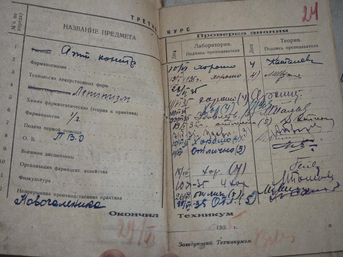 橙子收藏第七期