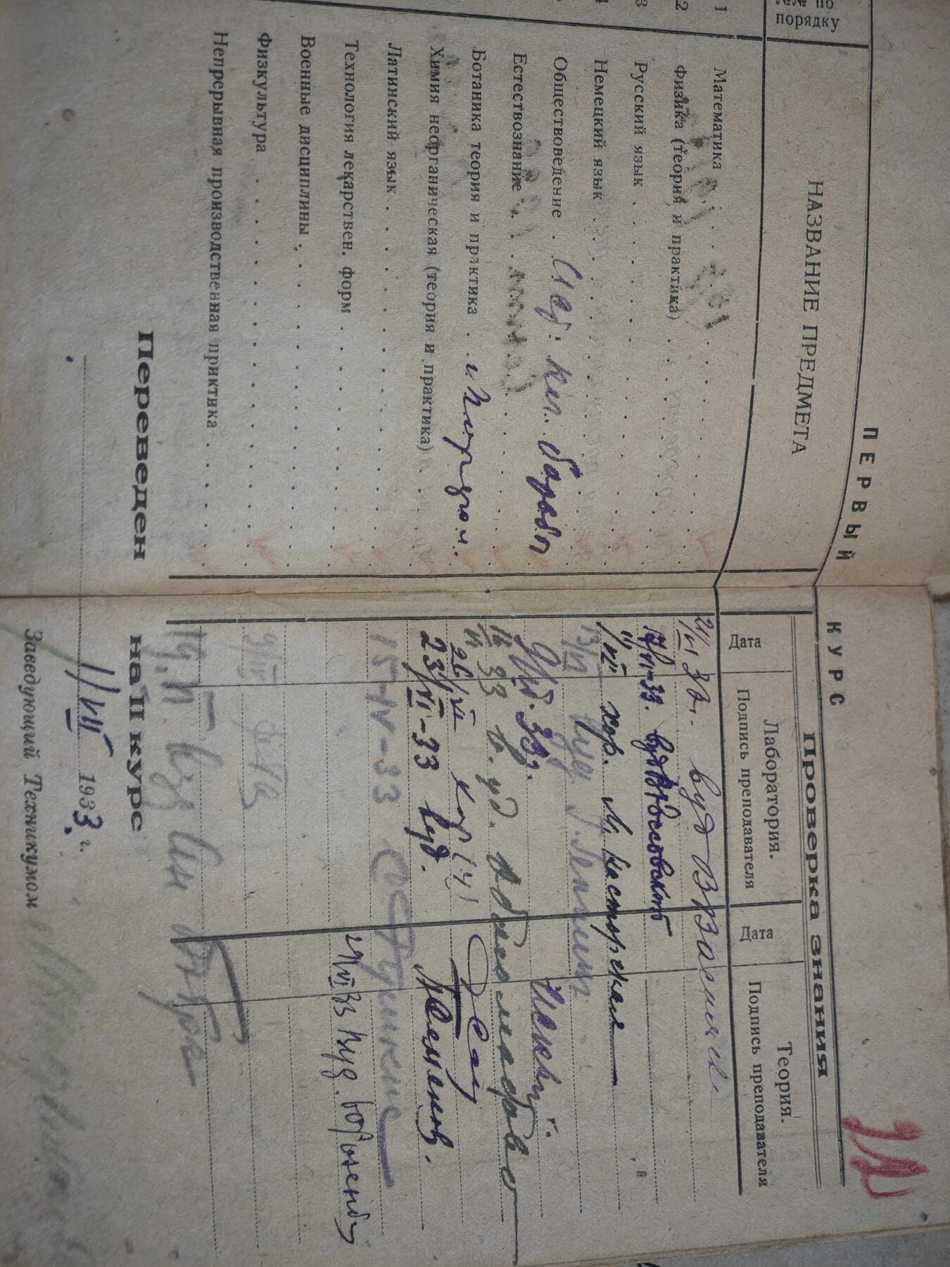 橙子收藏第七期