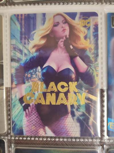 阳大大卡牌拍卖第107期（持续收拍品，周五晚上九点截拍，进群福利早知道） - 性感大雷女神 散卡9张 各工艺都有 带卡膜套卡页