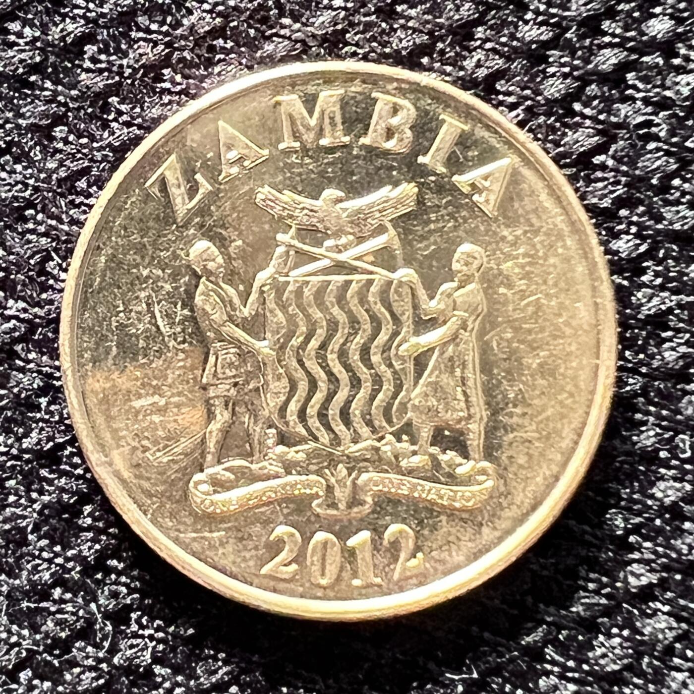 锦色铺子的潮玩第10期 🌸🌸🌸无佣金🌸 🌸🌸  