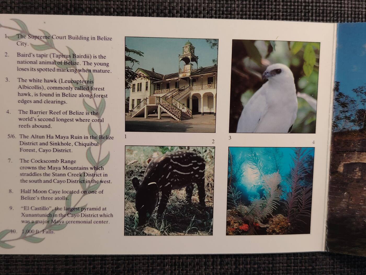 布加迪🐬～世界钱币(上海)🌾第 285 期 /  各国套币和散币