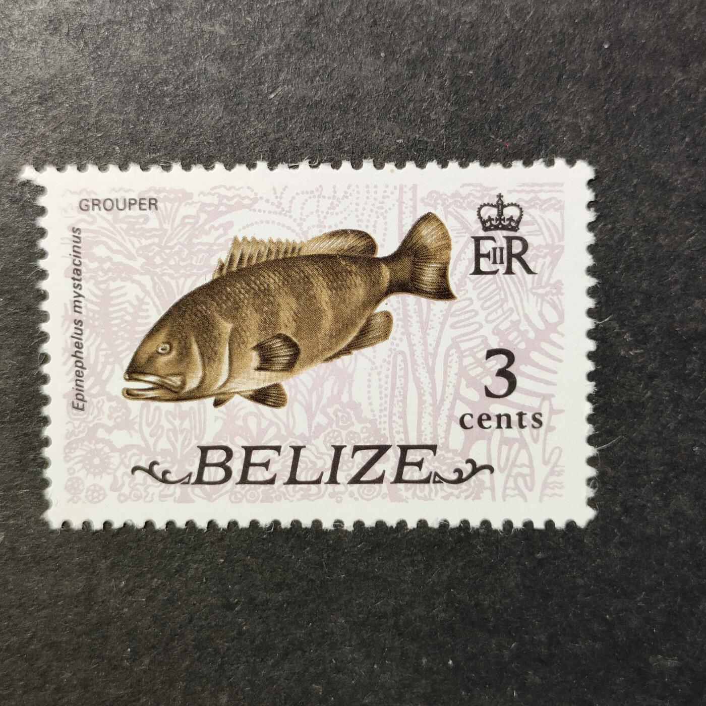 嘉禾收藏    【第506期】            无佣金、可寄存、满30元包邮