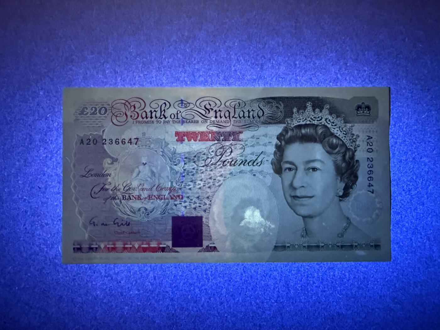 《愛美收藏》第239期-4.5周日外币黄金场 