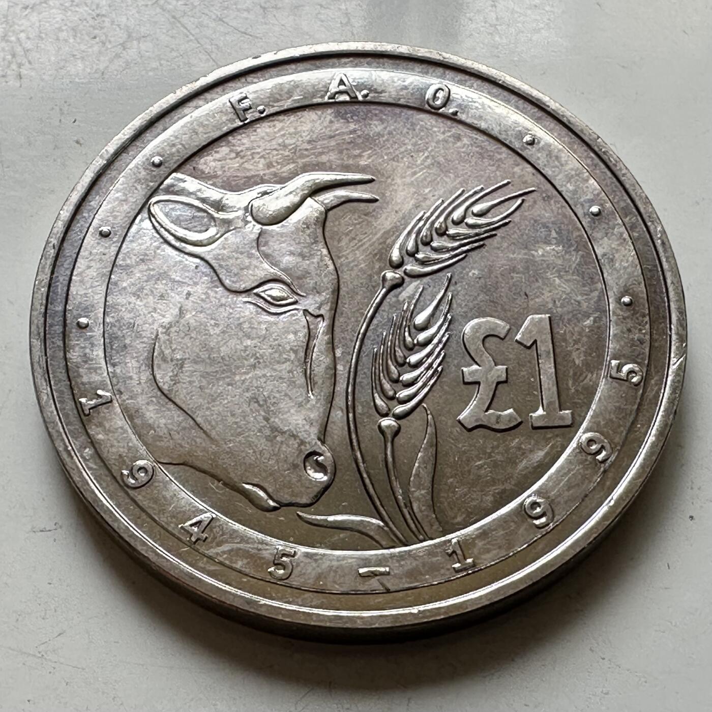 🌹外币初藏🌹🐯2026年第37场   每周二四六晚8️⃣点 接代拍 塞浦路斯 1995年 FAO 1镑 纪念币