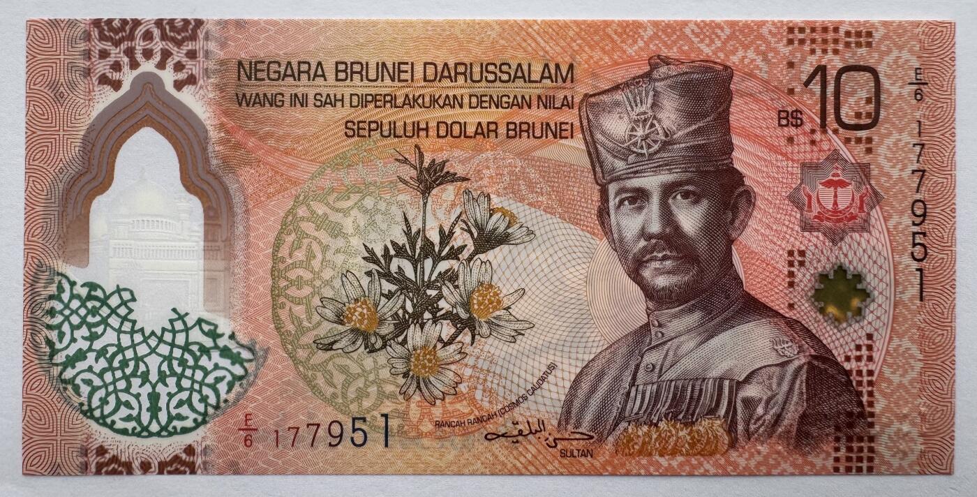 2026第6场（总第233期）：精品测试钞、外钞综合场 