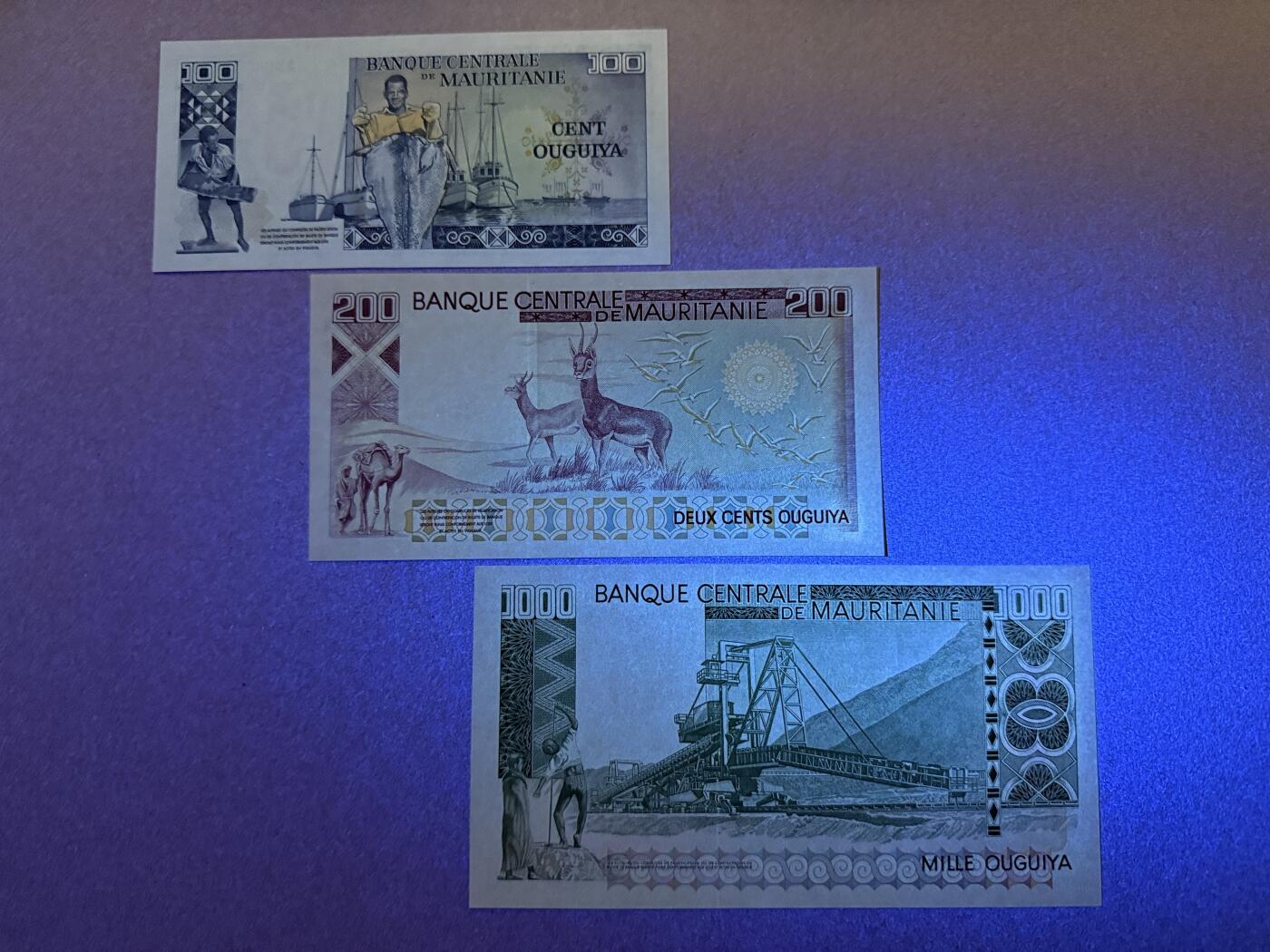 《愛美收藏》第239期-4.5周日外币黄金场  毛里塔尼亚100、200、1000乌吉亚3张 UNC 1977年版 三张无47全同号尾8