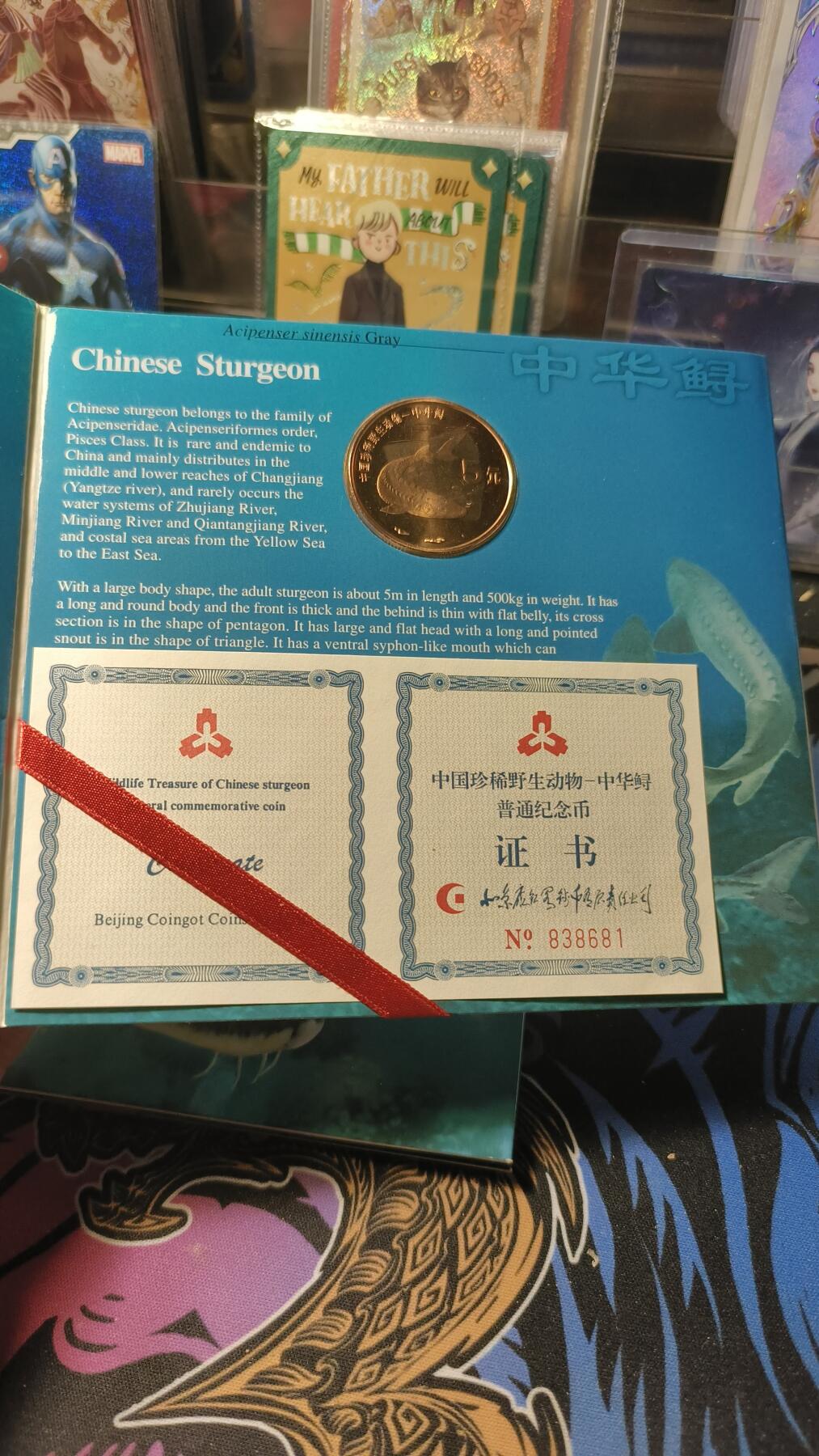 霸总卡牌第四期 康银阁中华鲟装帧版 编号：838681