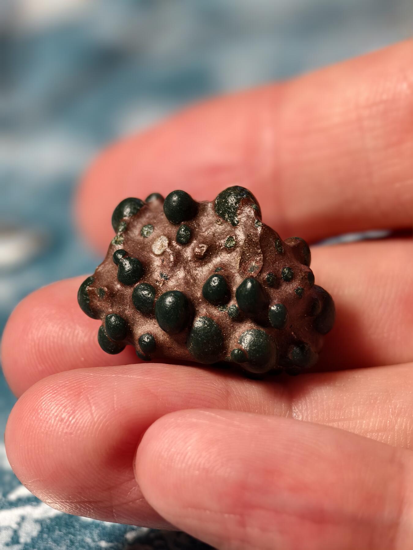 抚柳草堂-第二十二期章牌钱币  奖章勋章 满百包邮 放漏专场