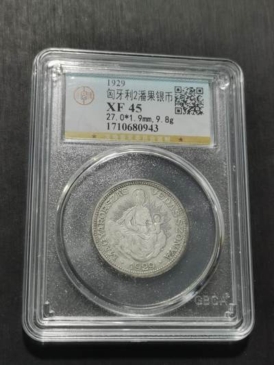 天下钱庄专场欢迎参拍 - 匈牙利双天使圣母抱婴2潘果银币