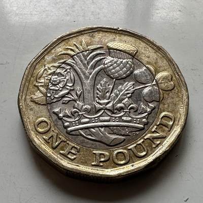 🌹外币初藏🌹🐯2026年第37场   每周二四六晚8️⃣点 接代拍 - 英国2017年1英镑