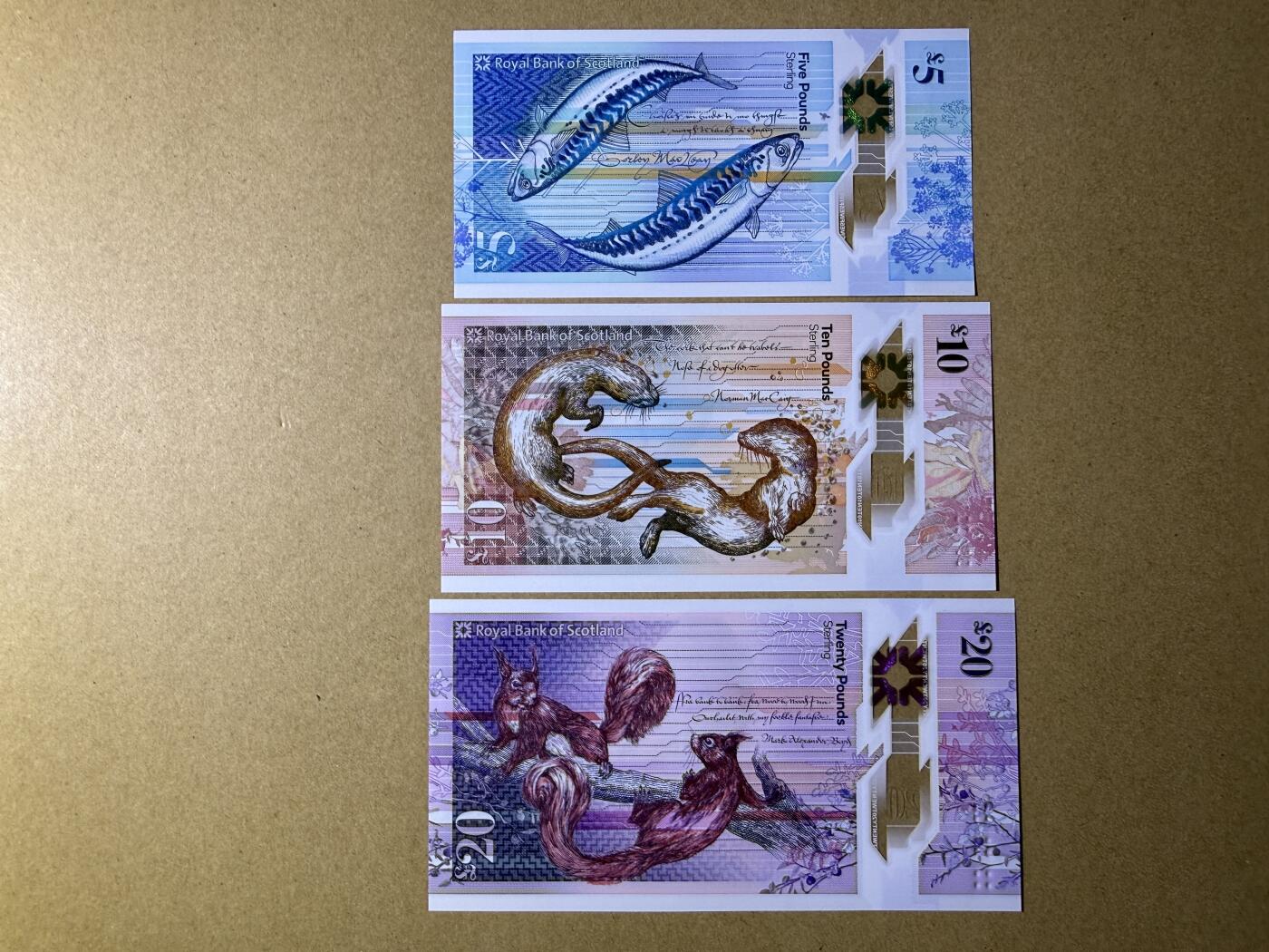 《愛美收藏》第239期-4.5周日外币黄金场 