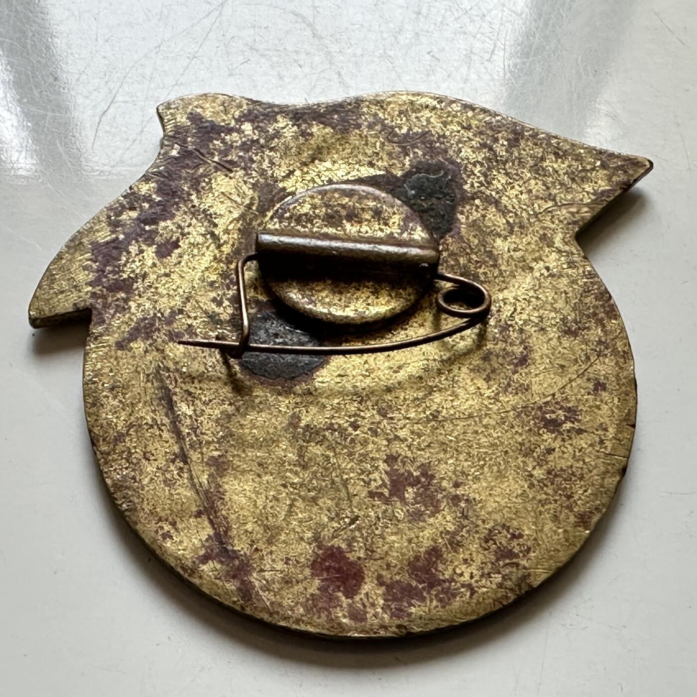 🌹外币初藏🌹🐯2026年第37场   每周二四六晚8️⃣点 接代拍 越南 胡志明战役 34×35mm 铜质镀金 抗美援越纪念章