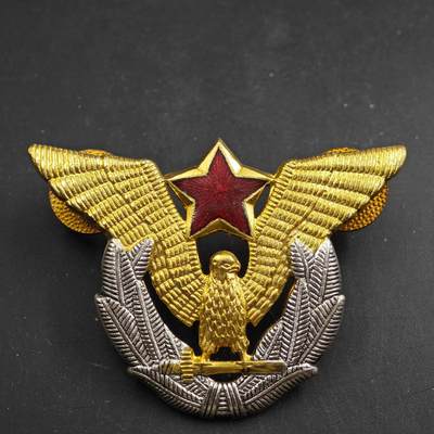 4月4日结束，成斌徽章钱币专场 - 南斯拉夫空军帽徽