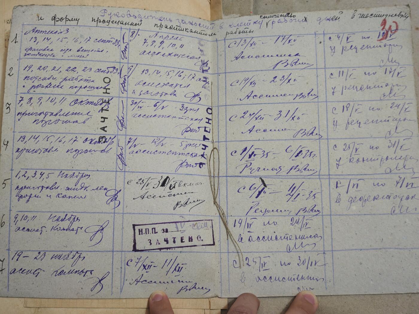 橙子收藏第七期