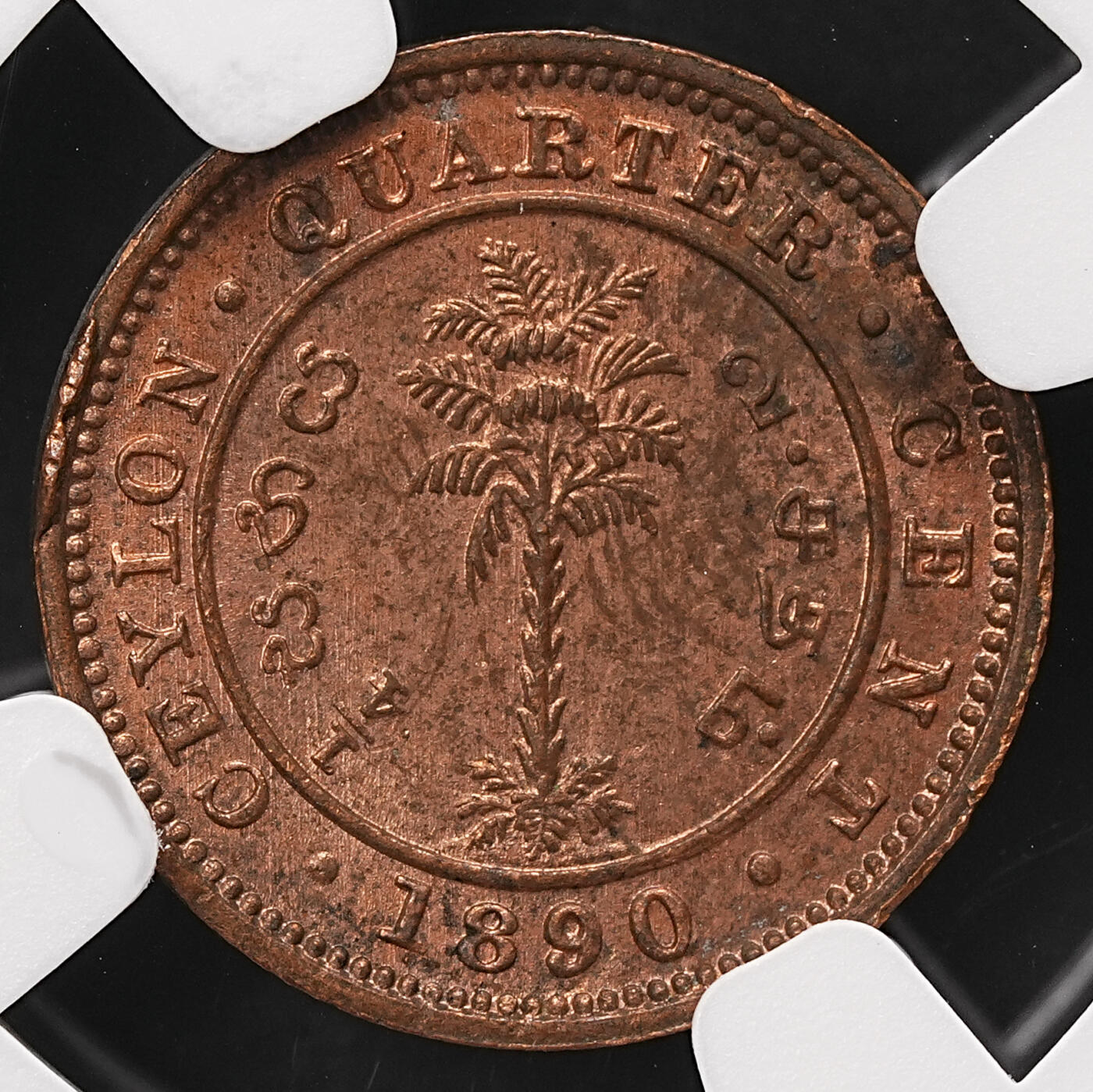 修遠堂世界钱币第110期 NGC MS63RB 1890年英属锡兰1/4分铜币